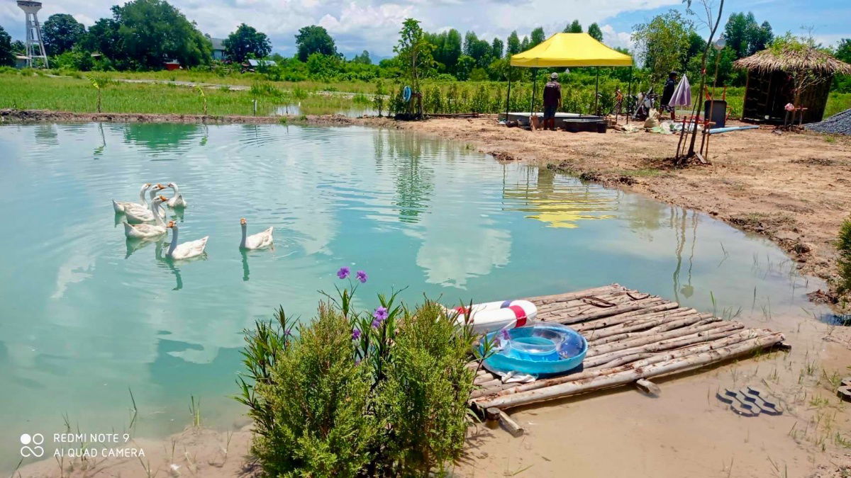 picture Ban Na Ban Phrik Subdistrict Ban Na Nakhon District 2-200 sq m450,000 baht7 km from the 4-lane road Wihan Daeng water and electricity included,  - 10/19