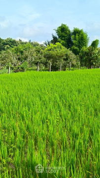 ที่ดินสำหรับปล่อยขาย 8,048 ตารางเมตร แถว ใน สบเปิง (ID 1540121)