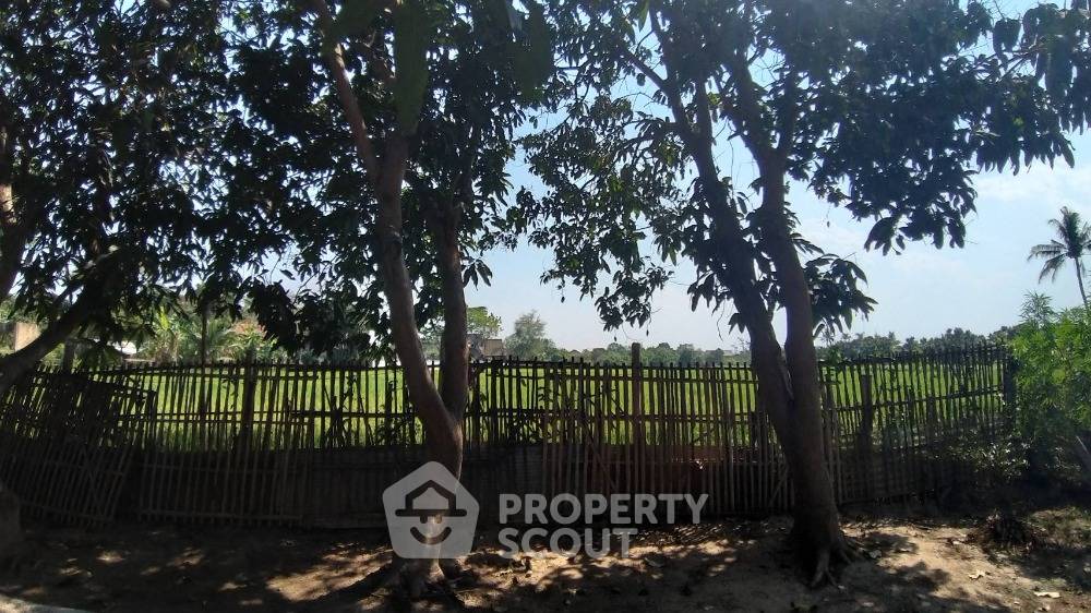 picture 2-BR House in Pa Daet (ID 1302279) - 14/15