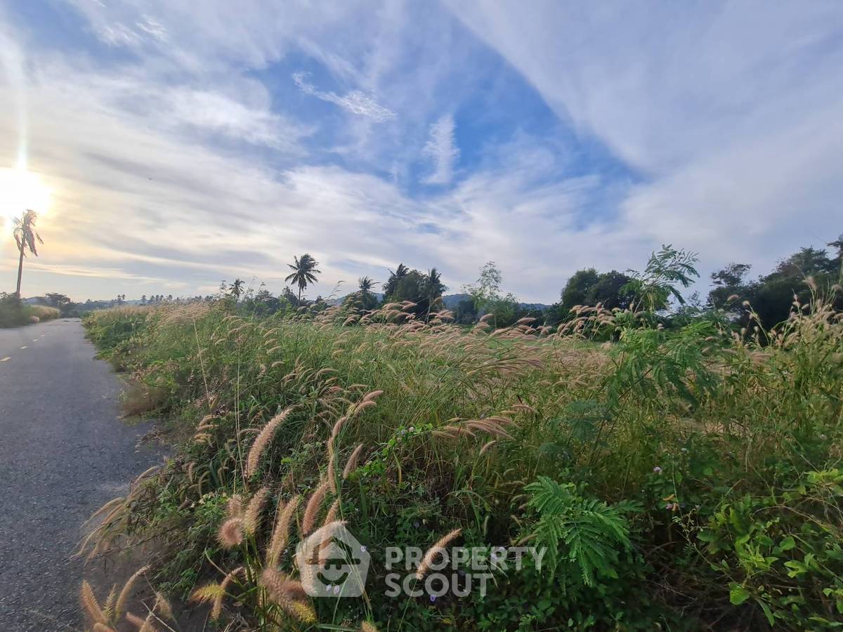 รูป ที่ดินสำหรับปล่อยขาย 11,212 ตารางเมตร แถว ใกล้ สวนนงนุช (ID 2457060) - รูปที่ 11/16