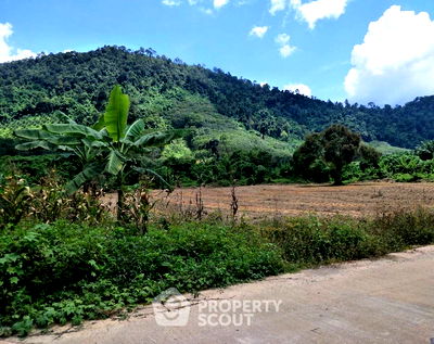 ที่ดิน พนม สุราษฎร์ธานี : ที่ดินสำหรับปล่อยขาย 21,788 ตารางเมตร แถว ใน พนอม (ID 1316532)