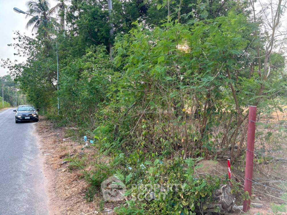 รูป ที่ดินสำหรับปล่อยขาย 5,664 ตารางเมตร แถว ใกล้ หาดไม้ขาว (ID 1492294) - รูปที่ 2/4