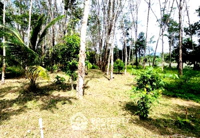 ที่ดิน ถลาง ภูเก็ต : ที่ดินสำหรับปล่อยขาย 1,600 ตารางเมตร แถว ใน ศรีสุนทร (ID 1383827)