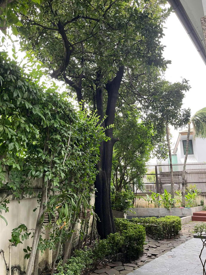 picture Private Nirvana Ladphao Soi Yothin Phatthana 9, Pradit Manutham Road, Khlong Chan Subdistrict, Bang Kapi District, Bangkok - 32/39