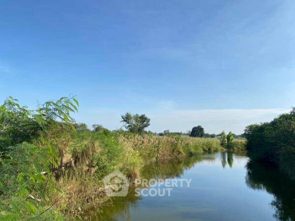 รูป ที่ดินสำหรับปล่อยขาย 8,000 ตารางเมตร แถว ใน หินเหล็กไฟ (ID 1907782) - รูปที่ 2/5