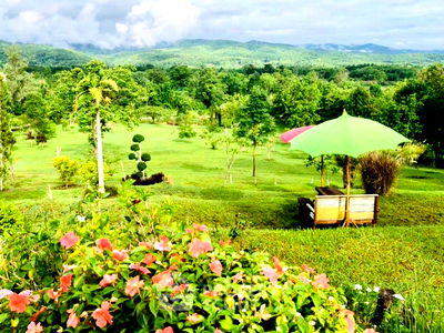 ที่ดิน บ้านข้างวัด : ที่ดินสำหรับปล่อยขาย 32,000 ตารางเมตร แถว ใกล้ สนามบินเชียงใหม่ (ID 1456697)