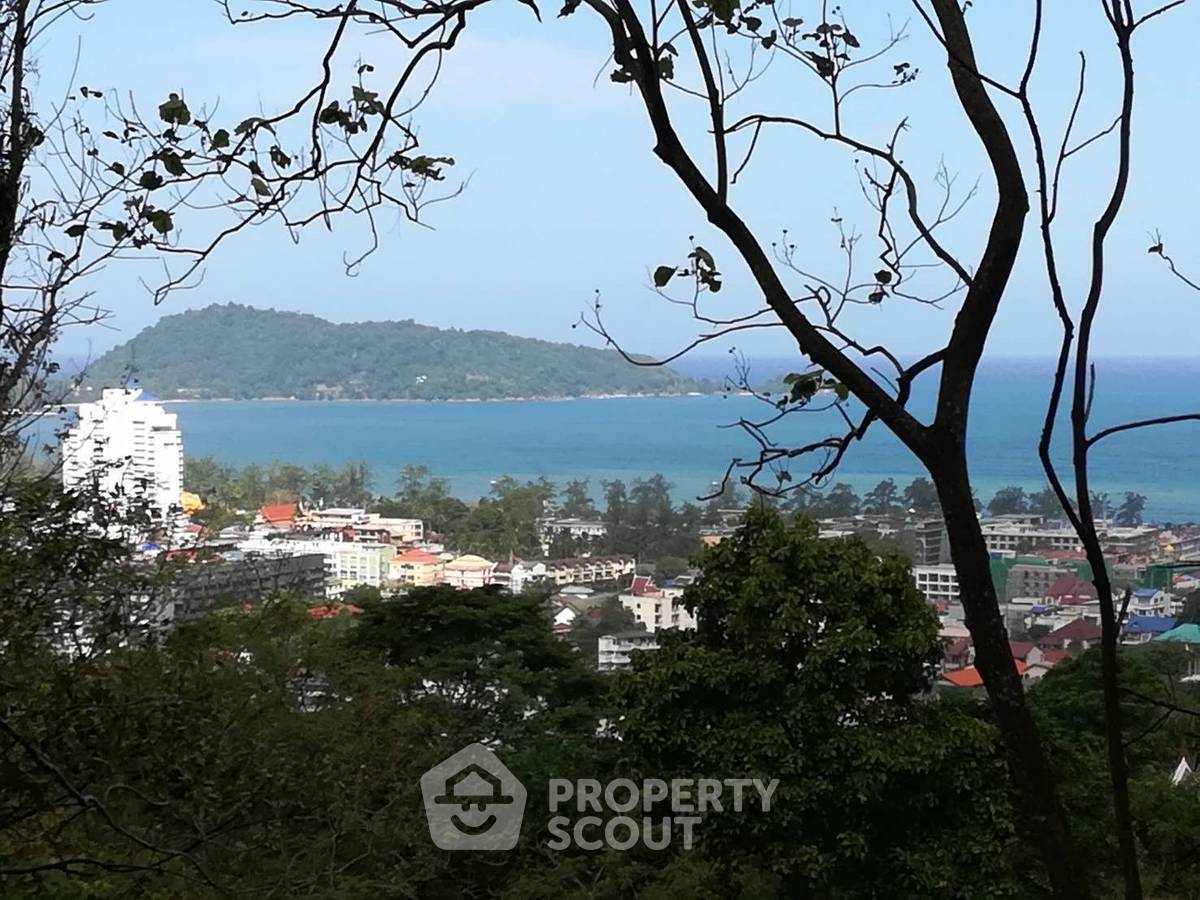 รูป ที่ดินสำหรับปล่อยขาย 30,448 ตารางเมตร แถว ใน ป่าตอง (ID 2149582) - รูปที่ 12/19