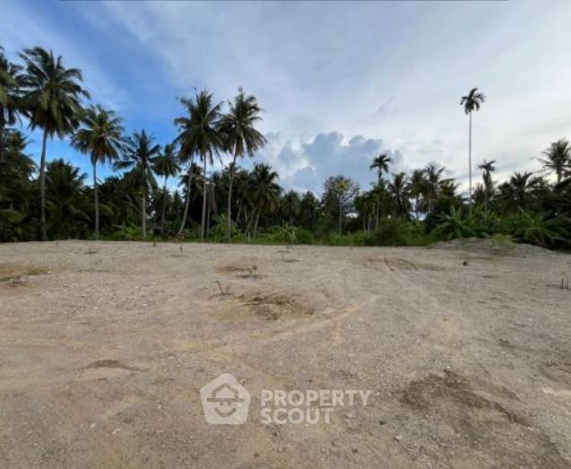 รูป ที่ดินสำหรับปล่อยขาย 700 ตารางเมตร แถว (ID 1943465) - รูปที่ 5/11