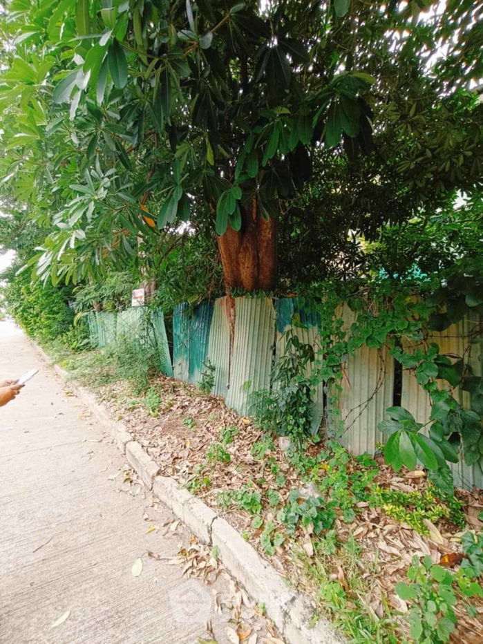 รูป ที่ดินสำหรับปล่อยขาย 960 ตารางเมตร แถว ใกล้ พัทยาใต้ (ID 1849691) - รูปที่ 4/5