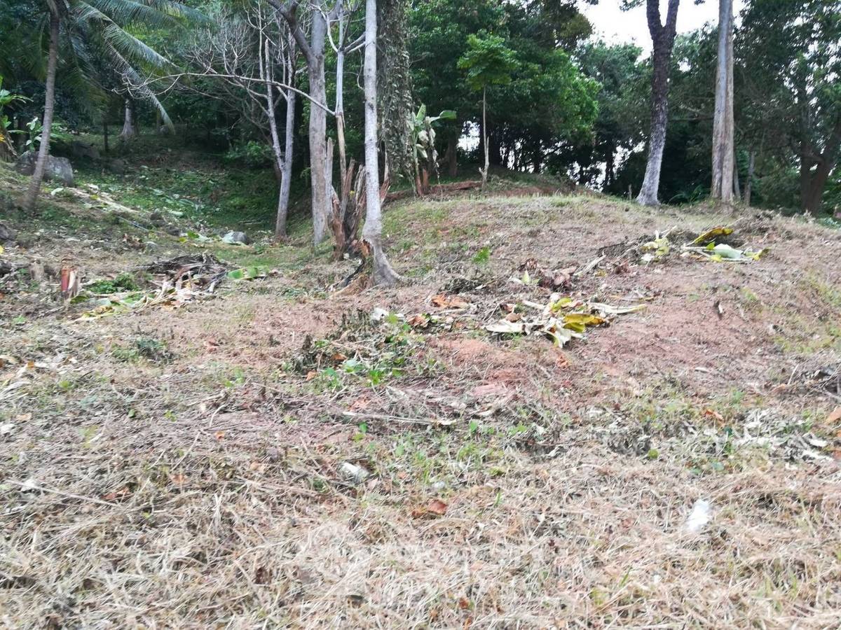 รูป ที่ดินสำหรับปล่อยขาย 30,448 ตารางเมตร แถว ใน ป่าตอง (ID 2149582) - รูปที่ 19/19