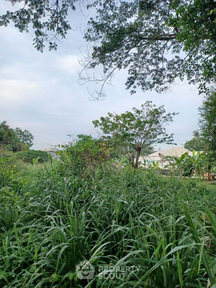 รูป ที่ดินสำหรับปล่อยขาย 480 ตารางเมตร แถว ใน หนองขาม (ID 2089362) - รูปที่ 11/11