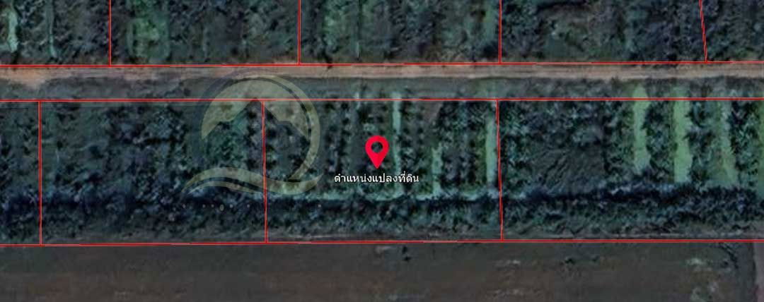 รูป ขาย ที่ดินเปล่า 1-1-33 ไร่ ( 533 ตร.ว. ) ซ.บึงบอน 11 ถ.รังสิต-นครนายก จ.ปทุมธานี - รูปที่ 16/17
