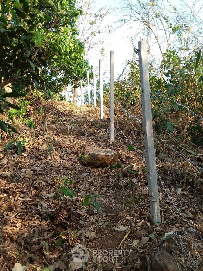 รูป ที่ดินสำหรับปล่อยขาย 12,488 ตารางเมตร แถว ใน แม่วิน (ID 2088694) - รูปที่ 1/4