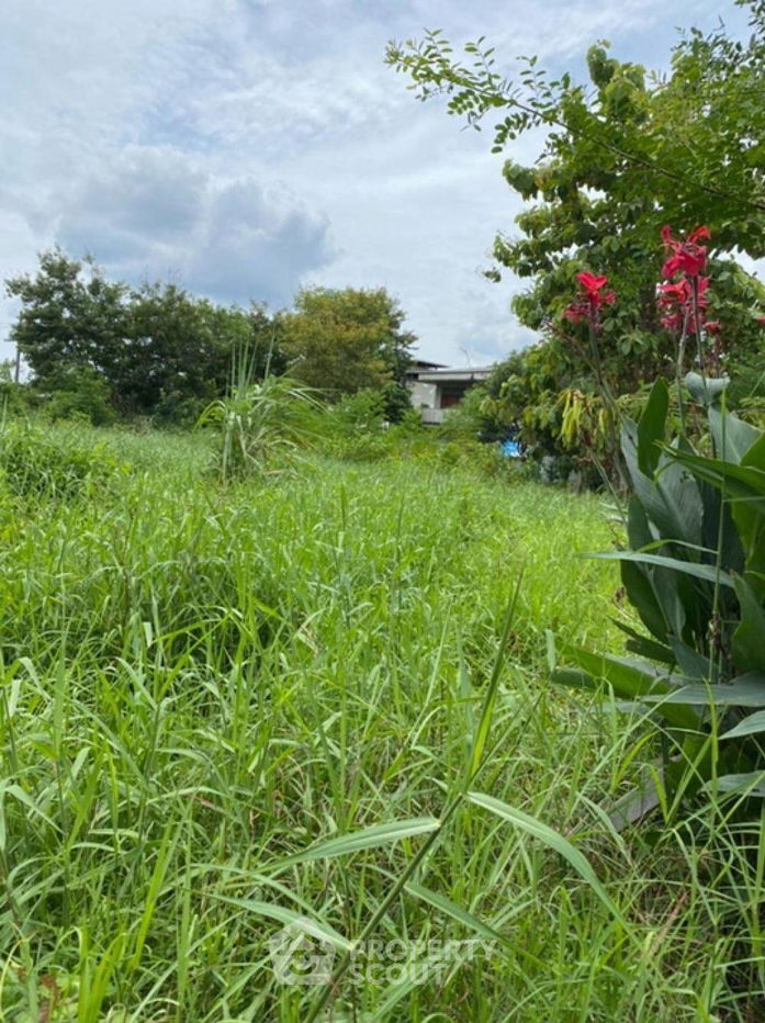 รูป ที่ดินสำหรับปล่อยขาย 9,184 ตารางเมตร แถว ใน โสนลอย (ID 1500162) - รูปที่ 2/4