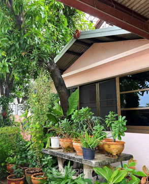 บ้าน 3-ห้องนอน ใกล้ BTS ปู่เจ้า (ID 1925482)