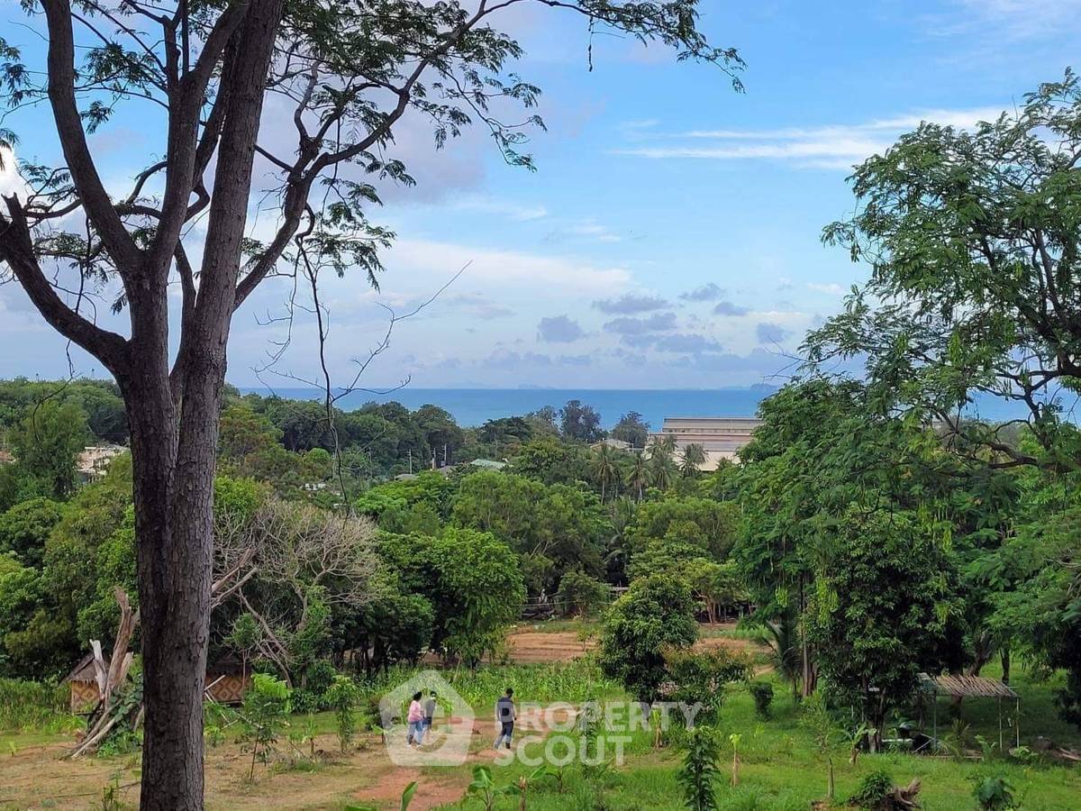 รูป ที่ดินสำหรับปล่อยขาย 25,600 ตารางเมตร แถว ใกล้ ภูเก็ตซิตี้ ไนท์บาซาร์ (ID 1146825) - รูปที่ 6/7