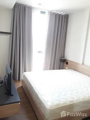 picture Hasu haus 5903935 - 19/20