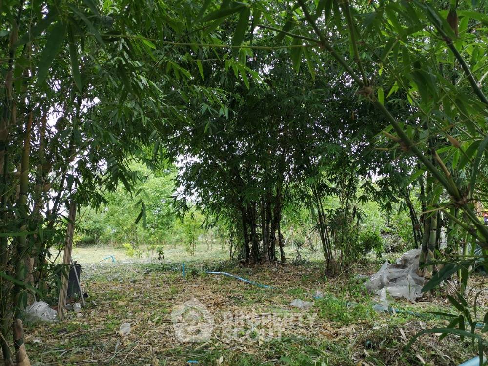 รูป ที่ดินสำหรับปล่อยขาย 10,572 ตารางเมตร แถว ใน มะขุนหวาน (ID 1750389) - รูปที่ 4/6