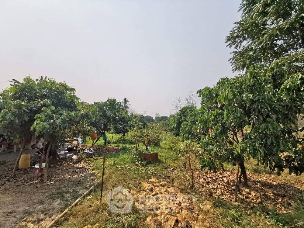 รูป ที่ดินสำหรับปล่อยขาย 1,680 ตารางเมตร แถว ใน ขี้เหล็ก (ID 1528337) - รูปที่ 2/4