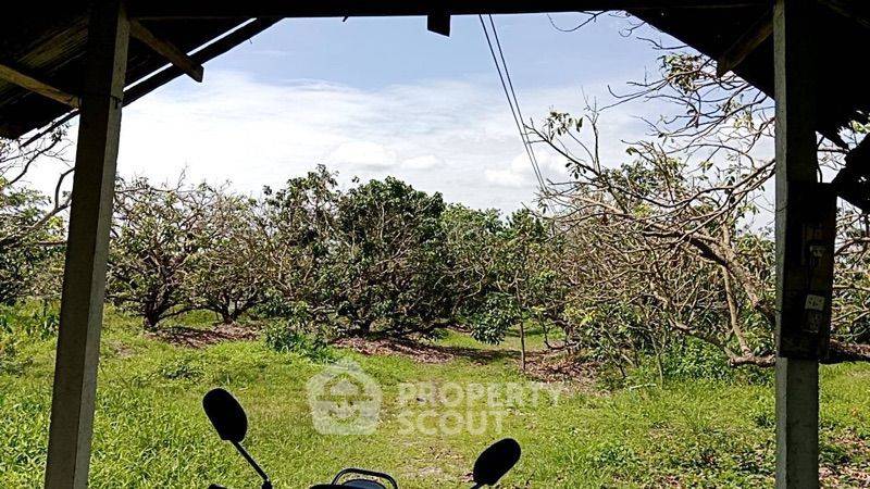 รูป ที่ดินสำหรับปล่อยขาย 5,004 ตารางเมตร แถว ใน หนองตอง (ID 1442049) - รูปที่ 4/4