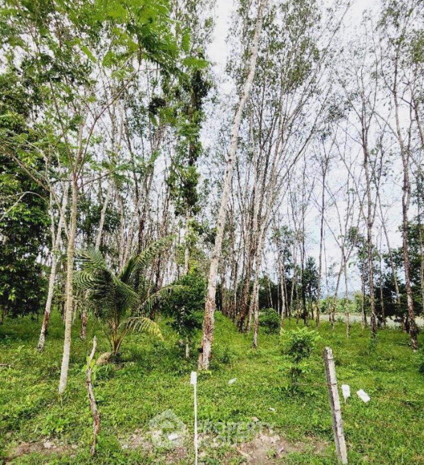 รูป ที่ดินสำหรับปล่อยขาย 1,600 ตารางเมตร แถว ใน ศรีสุนทร (ID 1383827) - รูปที่ 3/3