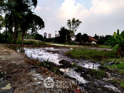 ที่ดิน ถนนติวานนท์ : ที่ดินสำหรับปล่อยขาย 1,604 ตารางเมตร แถว ใน บ้านใหม่ (ID 2116254)