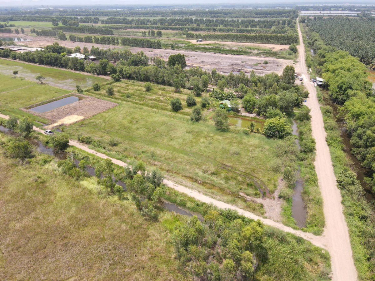 รูป ที่ดินทำเลดีค.13หนองหมูวิหารแดงสระบุรี2-1-71ยกแปลง1790000ใกล้ถนนพหลโยธิน8กมปั้มPT1กมอ.หนองแค8กมรพ.วิหารแดง12กมเข้าออก2ทางฟรีทุกค่าใช้จ่ายจอง30000 - รูปที่ 10/23