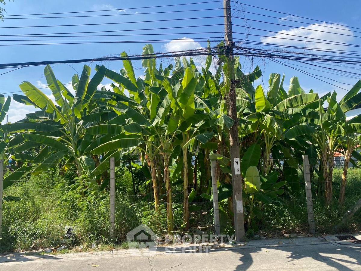 picture 1,080 m² Land with 2-bed House for Rent at Lat Phrao (ID 1962931) - 4/5