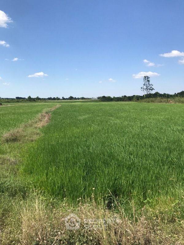 รูป ที่ดินสำหรับปล่อยขาย 17,712 ตารางเมตร แถว ใน พนัสนิคม (ID 1405970) - รูปที่ 3/3