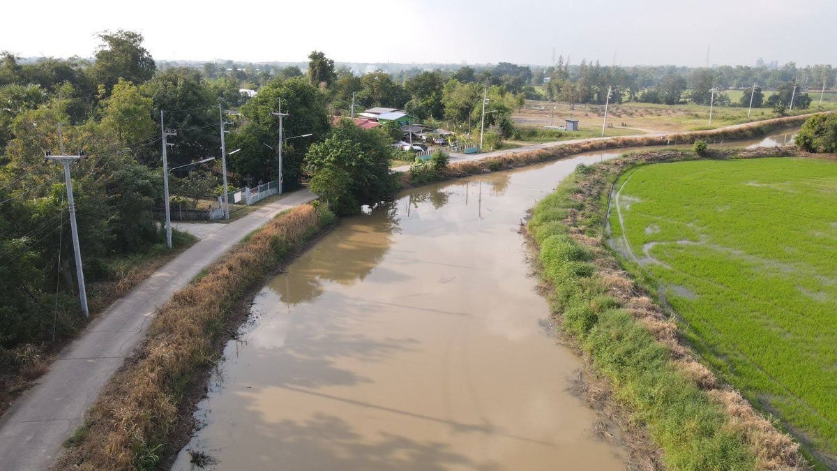 รูป ที่ดินบ้านสวนหนองจรเข้อ.หนองแคสระบุรี2ไร่มี9ล็อกไร่ละ780000ใกล้หนองตะเฆ่400มอ.หนองแค3กมอ.เมืองสระบุรี22กมถนนคอนกรีตน้ำไฟ3เฟสผ่อน2ปี - รูปที่ 11/19