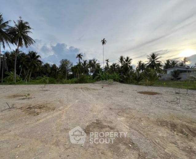 รูป ที่ดินสำหรับปล่อยขาย 700 ตารางเมตร แถว (ID 1943465) - รูปที่ 6/11