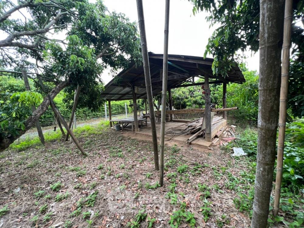 รูป ที่ดินสำหรับปล่อยขาย 9,936 ตารางเมตร แถว ใน ดอนแก้ว (ID 1275088) - รูปที่ 4/8