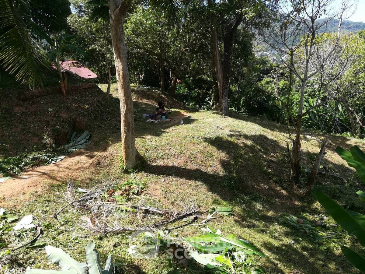 รูป ที่ดินสำหรับปล่อยขาย 30,448 ตารางเมตร แถว ใน ป่าตอง (ID 2149582) - รูปที่ 8/19