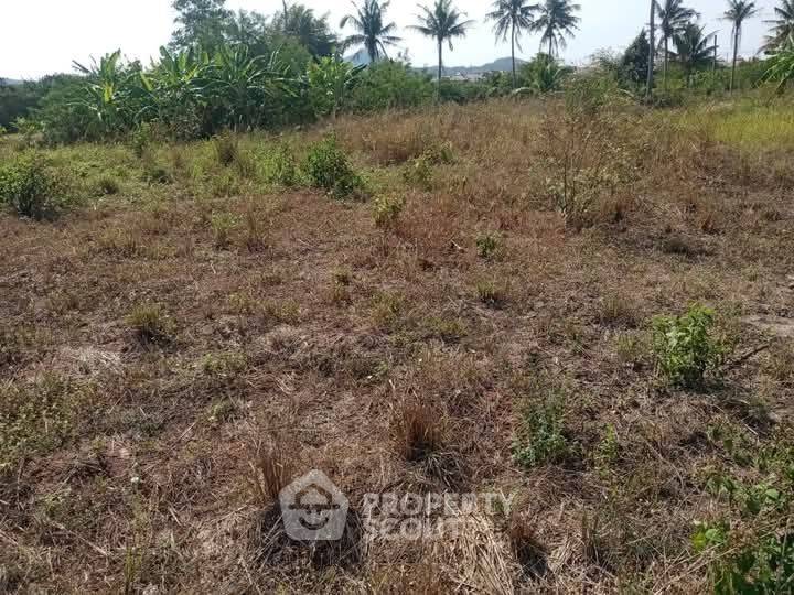 รูป ที่ดินสำหรับปล่อยขาย 2,400 ตารางเมตร แถว ใน ทับใต้ (ID 2064774) - รูปที่ 5/5