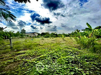 ที่ดิน ม.เอเชียอาคเนย์ : ที่ดินสำหรับปล่อยขาย 2,400 ตารางเมตร แถว ใน หนองแขม (ID 2115847)