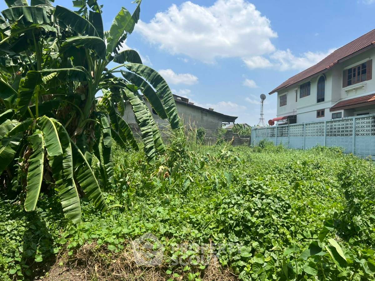 รูป ที่ดินสำหรับปล่อยขาย 800 ตารางเมตร แถว ใน หนองค้างพลู (ID 1307698) - รูปที่ 5/8