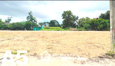 ที่ดิน บางละมุง ชลบุรี : ที่ดินสำหรับปล่อยขาย 492 ตารางเมตร แถว ใกล้ เมืองพัทยา (ID 2184817)