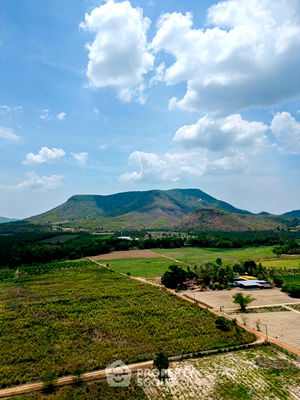 ที่ดิน หนองหญ้าปล้อง เพชรบุรี : ที่ดินสำหรับปล่อยขาย 84,152 ตารางเมตร แถว ใน หนองหญ้าปล้อง (ID 1436994)