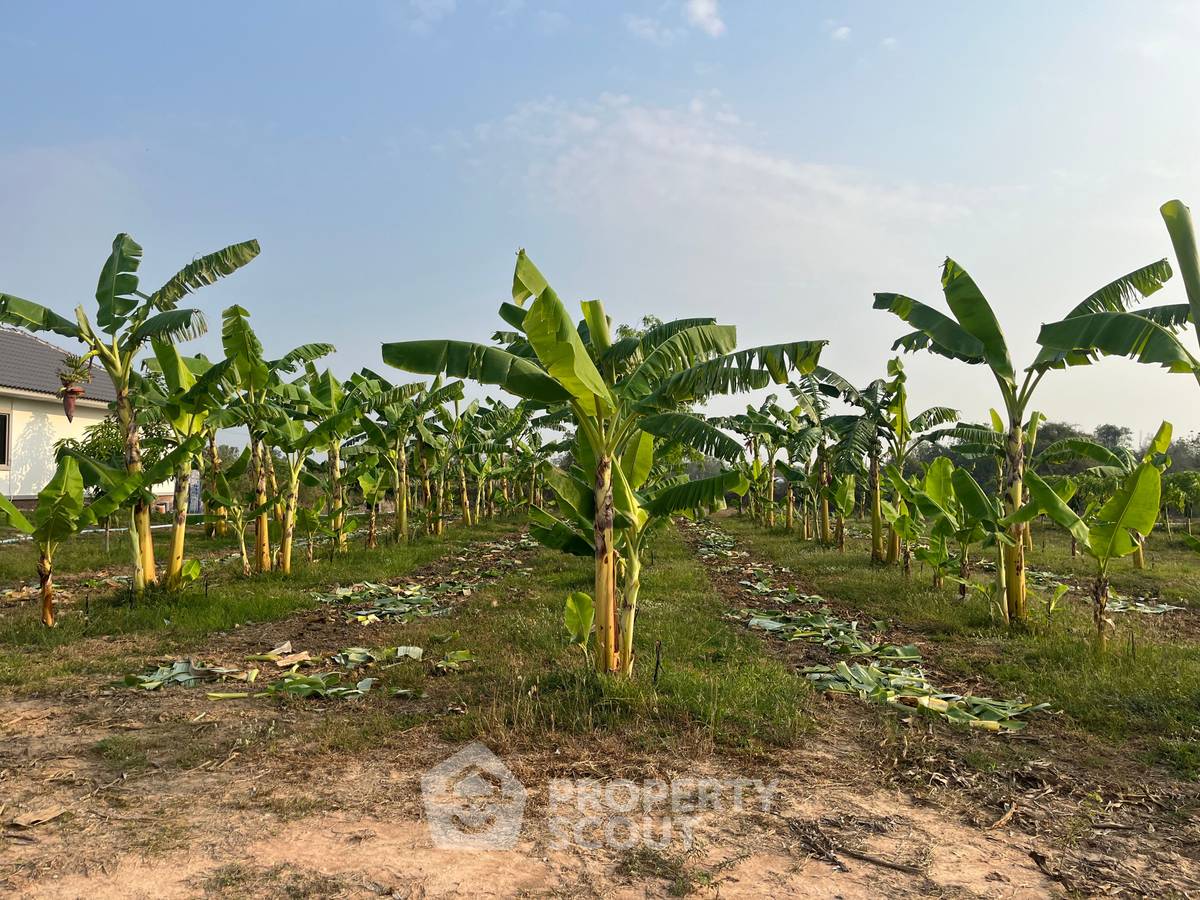 รูป ที่ดินสำหรับปล่อยขาย 8,000 ตารางเมตร แถว ใน วังก์พง (ID 1532197) - รูปที่ 2/4