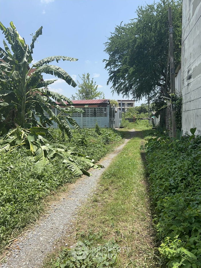 รูป ที่ดินสำหรับปล่อยขาย 800 ตารางเมตร แถว ใน หนองค้างพลู (ID 1307698) - รูปที่ 3/8