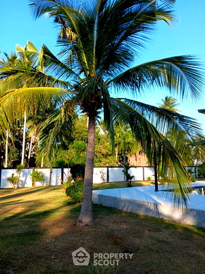 ที่ดิน ประจวบคีรีขันธ์ : ที่ดินสำหรับปล่อยขาย 800 ตารางเมตร แถว ใน ธงชัย (ID 1522875)