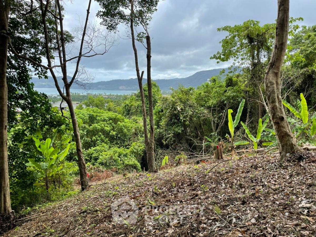 รูป ที่ดินสำหรับปล่อยขาย 16,000 ตารางเมตร แถว ใกล้ Patong (ID 1295665) - รูปที่ 9/12