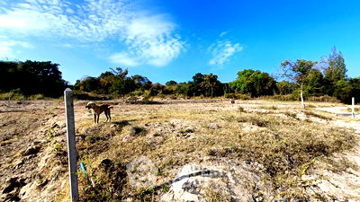 Land for sale Hua Hin Prachaubkirikhan : 1,200 m² Land for Sale in Thap Tai (ID 1998316)