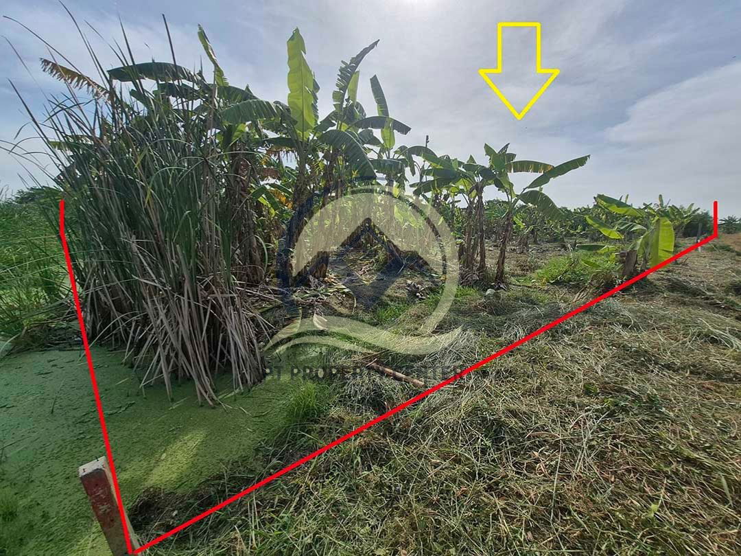 รูป ขาย ที่ดินเปล่า 1-1-33 ไร่ ( 533 ตร.ว. ) ซ.บึงบอน 11 ถ.รังสิต-นครนายก จ.ปทุมธานี - รูปที่ 13/17