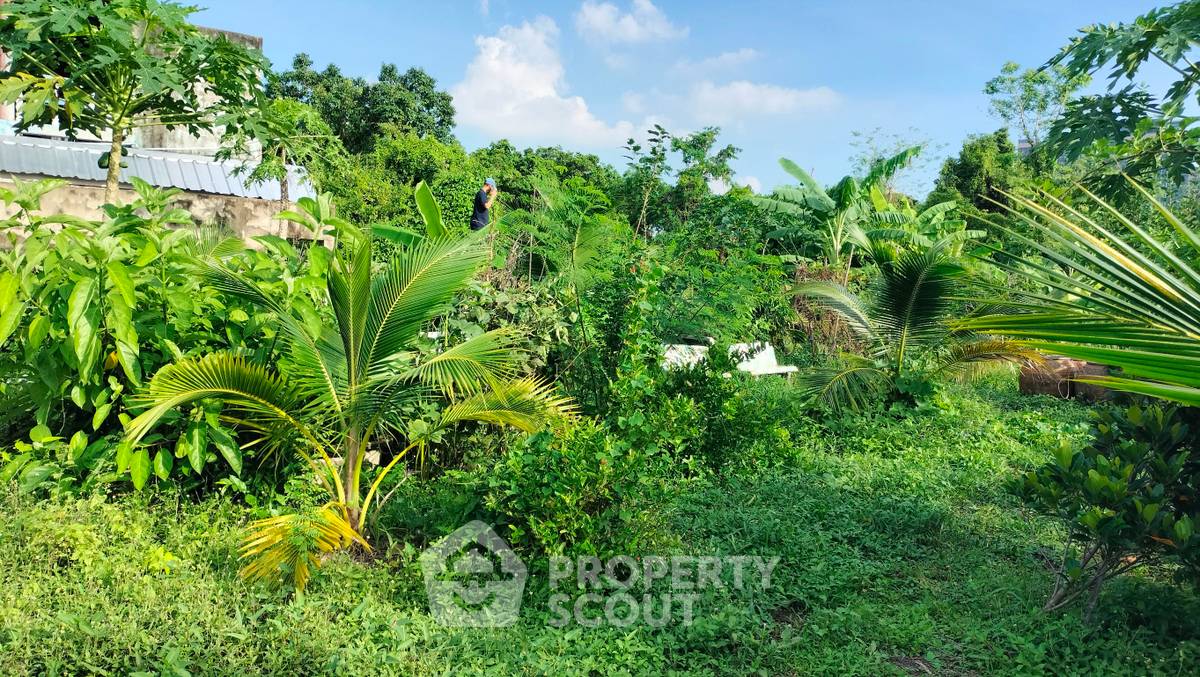 รูป ที่ดินสำหรับปล่อยขาย 1,800 ตารางเมตร แถว ใน ท่าอิฐ (ID 2104949) - รูปที่ 5/5