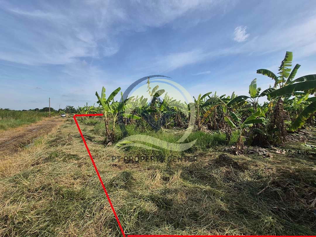 รูป ขาย ที่ดินเปล่า 1-1-33 ไร่ ( 533 ตร.ว. ) ซ.บึงบอน 11 ถ.รังสิต-นครนายก จ.ปทุมธานี - รูปที่ 11/17
