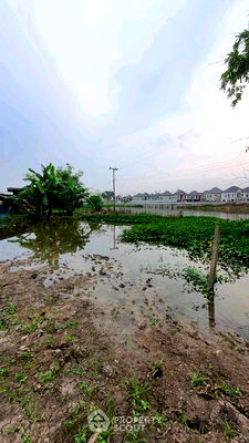 ที่ดิน ปากเกร็ด นนทบุรี : ที่ดินสำหรับปล่อยขาย 1,600 ตารางเมตร แถว ใน คลองข่อย (ID 2058082)