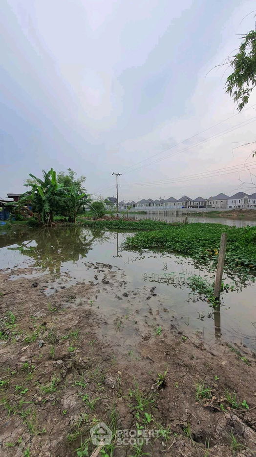 รูป ที่ดินสำหรับปล่อยขาย 1,600 ตารางเมตร แถว ใน คลองข่อย (ID 2058082) - รูปที่ 1/5