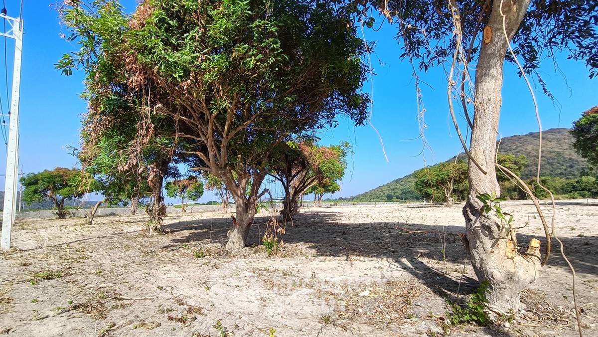 รูป ที่ดินสำหรับปล่อยขาย 800 ตารางเมตร แถว ใน ทับใต้ (ID 1998255) - รูปที่ 9/12