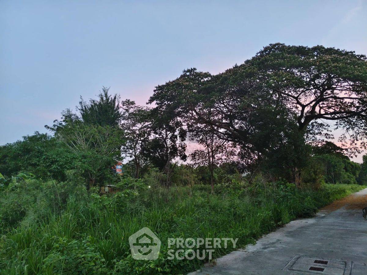 รูป ที่ดินสำหรับปล่อยขาย 480 ตารางเมตร แถว ใน หนองขาม (ID 2089362) - รูปที่ 7/11